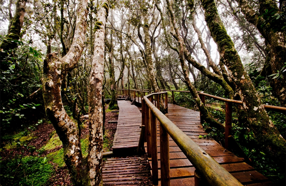 Parque Nacional Fray Jorge